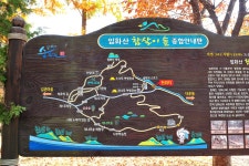 입화산참살이숲야영장