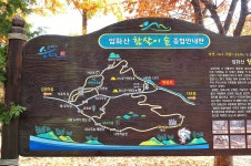 입화산참살이숲야영장