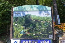 제암산자연휴양림 야영장