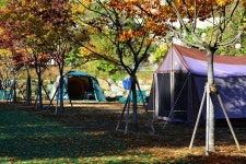 캠플레이 캠핑장 고캠핑