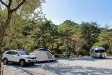 대관령 솔내음 오토 캠핑장