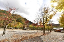 홀리데이캠프캠핑장