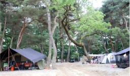 후평숲캠핑장 고캠핑