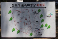 청포대숲속야영장 고캠핑