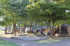 청포대숲속야영장
