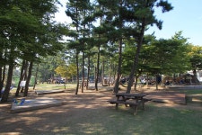 청포대숲속야영장 고캠핑