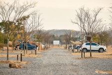 평화누리캠핑장 고캠핑