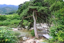 늘예솔글램핑 고캠핑