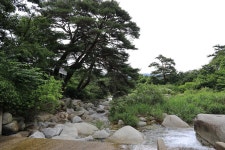 늘예솔글램핑 고캠핑