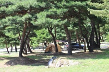 숲속의야영장 고캠핑