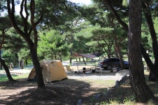 숲속의야영장 고캠핑