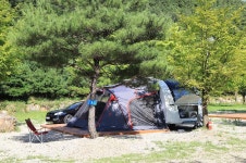 숲속의야영장 고캠핑