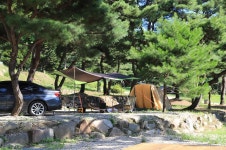 숲속의야영장 고캠핑