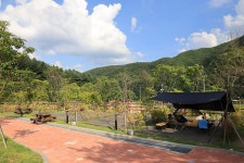 홍천강 자라바위 오토캠핑장 고캠핑