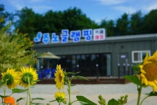 테하스랜드 글램핑장 고캠핑