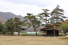 대기리산촌체험학교야영장 고캠핑