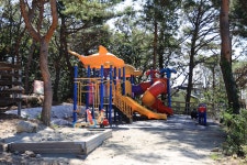 강화도 아침 숲속야영장