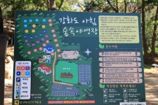 강화도 아침 숲속야영장