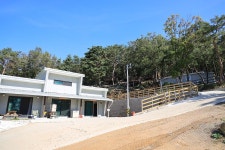 강화도 아침 숲속야영장