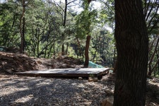 강화도 아침 숲속야영장