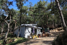 강화도 아침 숲속야영장