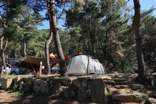 강화도 아침 숲속야영장