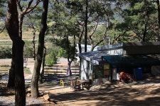 강화도 아침 숲속야영장