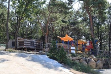 강화도 아침 숲속야영장