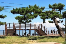 장경리해변 야영장 고캠핑