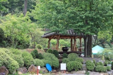 물왕숲캠핑파크 고캠핑