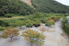 엄소리오토캠핑장