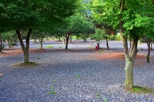 대둔산 그린시티 오토캠핑장