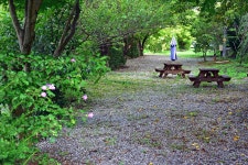 대둔산 그린시티 오토캠핑장