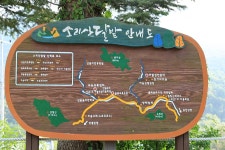산대분교공공캠핑장 고캠핑
