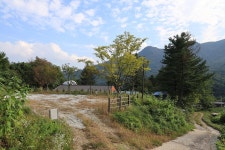산대분교공공캠핑장 고캠핑