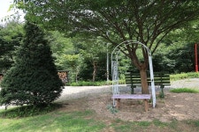 홍천 무네미 별마루 관광농원 고캠핑