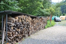 홍천 무네미 별마루 관광농원 고캠핑