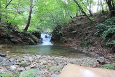 홍천 무네미 별마루 관광농원 고캠핑