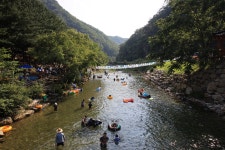 선바위자연캠핑장