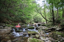 백년펜션 야영장