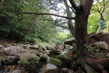 백년펜션 야영장