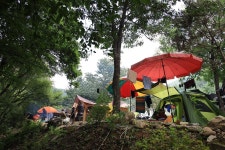 백년펜션 야영장 고캠핑