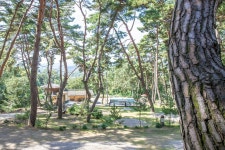 솔베이캠핑장 고캠핑