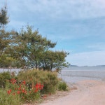 팔봉갯벌체험야영장 고캠핑