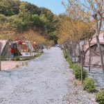 팔봉갯벌체험야영장 고캠핑