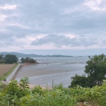 팔봉갯벌체험야영장 고캠핑