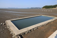 팔봉갯벌체험야영장 고캠핑