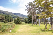 솔내음 물댄동산 야영장