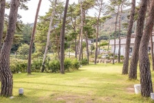 솔내음 물댄동산 야영장 고캠핑