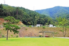 경주 더숲 관광농원